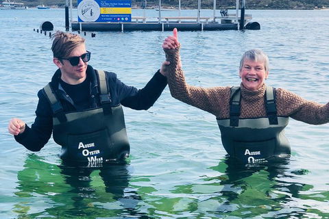 Coffin Bay Oyster Farm & Tasting Tour - Accommodation Adelaide 12