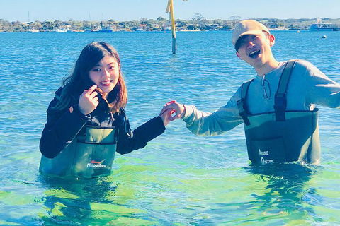 Coffin Bay Oyster Farm & Tasting Tour - Accommodation Adelaide 4