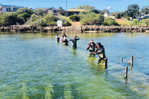 Coffin Bay Oyster Farm & Tasting Tour - Accommodation Adelaide 6