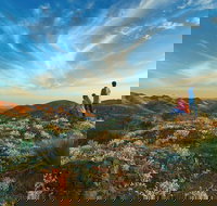 7-Night Murraylands and Wildlife Cruise