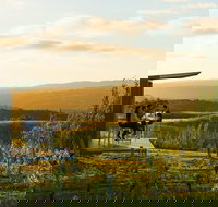 The Lane Vineyard Panorama Private Wine Tasting Experience