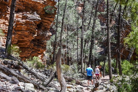 6-Day Eyre Peninsula & Flinders Ranges Adventure Tour - Accommodation Adelaide 12
