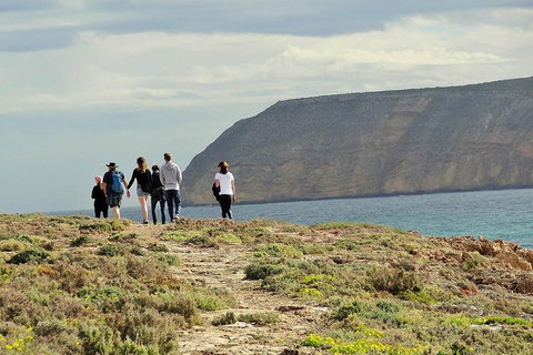 6-Day Eyre Peninsula & Flinders Ranges Adventure Tour - Accommodation Adelaide 4