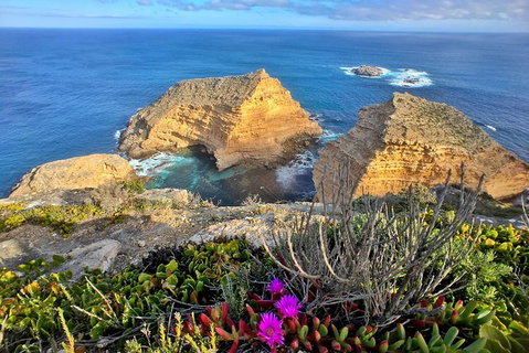 6-Day Eyre Peninsula & Flinders Ranges Adventure Tour - Accommodation Adelaide 10