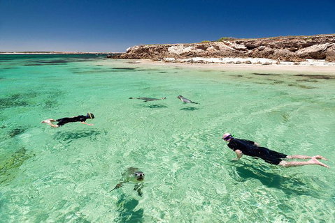 6-Day Eyre Peninsula & Flinders Ranges Adventure Tour - Accommodation Adelaide 6