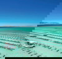 Coffin Bay Day Tour - A Taste of Coffin Bay - Accommodation Adelaide