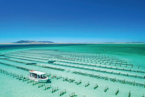 Coffin Bay Day Tour - A Taste Of Coffin Bay - Accommodation Adelaide 0