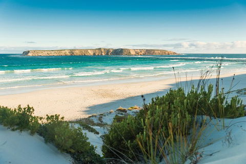 Coffin Bay Day Tour - A Taste Of Coffin Bay - Accommodation Adelaide 13