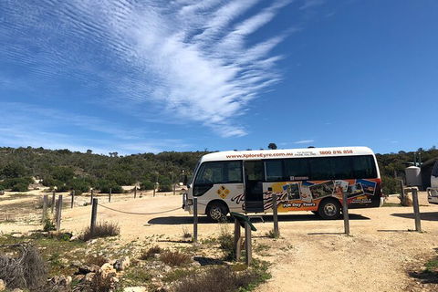 Coffin Bay Day Tour - A Taste Of Coffin Bay - Accommodation Adelaide 4