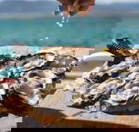 Experience Coffin Bay Short and Sweet Oyster Farm Tour - Accommodation Adelaide