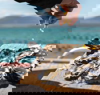 Experience Coffin Bay Oyster Farm and Bay Tour - Accommodation Adelaide