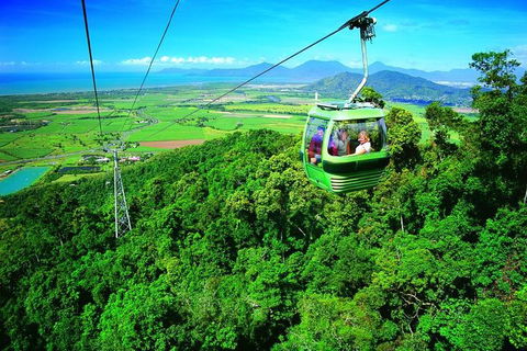 5-Day Best Of Cairns With Daintree, Kuranda, And Great Barrier Reef - Accommodation Adelaide 1