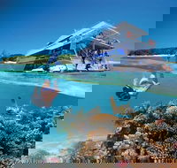 3-Day Southern Great Barrier Reef Tour Including Lady Musgrave Island - Accommodation Adelaide