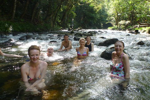 Daintree Rainforest, Cape Tribulation, Mossman Gorge In A Day - Accommodation Adelaide 10