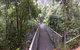 Cape Tribulation, Mossman Gorge, And Daintree Rainforest Day Trip From Cairns Or Port Douglas - thumb 4