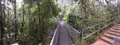 Cape Tribulation, Mossman Gorge, And Daintree Rainforest Day Trip From Cairns Or Port Douglas - Accommodation Adelaide 4