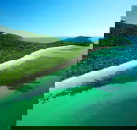 Cape Tribulation Mossman Gorge and Daintree Rainforest Day Trip from Cairns or Port Douglas - Accommodation Adelaide