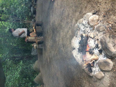 Cape Tribulation, Mossman Gorge, And Daintree Rainforest Day Trip From Cairns Or Port Douglas - Accommodation Adelaide 6