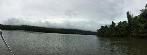 Cape Tribulation, Mossman Gorge, And Daintree Rainforest Day Trip From Cairns Or Port Douglas - Accommodation Adelaide 3