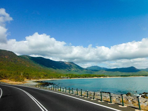 Cape Tribulation, Mossman Gorge, And Daintree Rainforest Day Trip From Cairns Or Port Douglas - Accommodation Adelaide 11