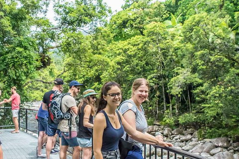 Cape Tribulation, Mossman Gorge, And Daintree Rainforest Day Trip From Cairns Or Port Douglas - Accommodation Adelaide 15