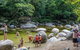 Cape Tribulation, Mossman Gorge, And Daintree Rainforest Day Trip From Cairns Or Port Douglas - thumb 14