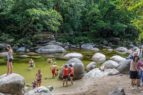 Cape Tribulation, Mossman Gorge, And Daintree Rainforest Day Trip From Cairns Or Port Douglas - Accommodation Adelaide 14