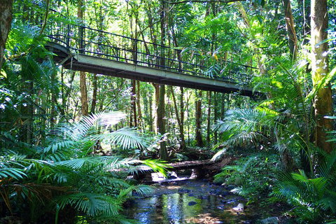 Cape Tribulation, Mossman Gorge, And Daintree Rainforest Day Trip From Cairns Or Port Douglas - Accommodation Adelaide 7