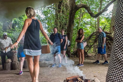 Cape Tribulation, Mossman Gorge, And Daintree Rainforest Day Trip From Cairns Or Port Douglas - Accommodation Adelaide 13