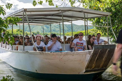 Cape Tribulation, Mossman Gorge, And Daintree Rainforest Day Trip From Cairns Or Port Douglas - Accommodation Adelaide 8