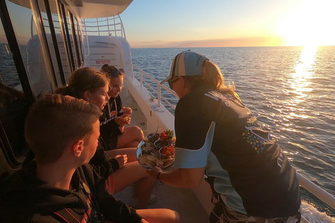 Hervey Bay Whale Watching Experience - Accommodation Adelaide 15