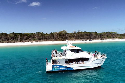 Hervey Bay Whale Watching Experience - Accommodation Adelaide 11