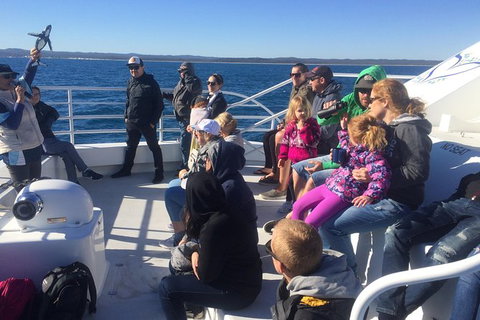 Hervey Bay Whale Watching Experience - Accommodation Adelaide 10