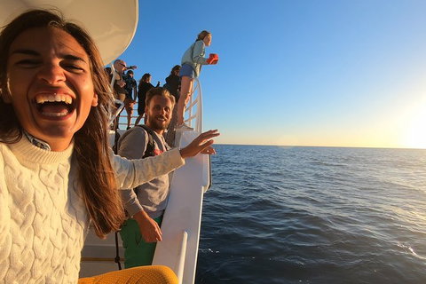 Hervey Bay Whale Watching Experience - Accommodation Adelaide 9