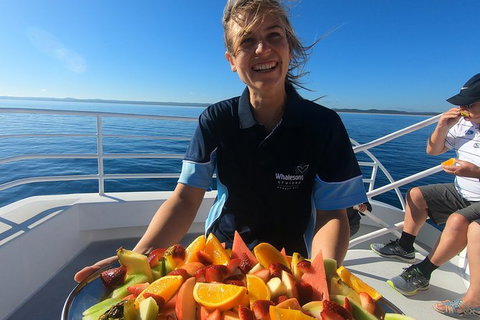 Hervey Bay Whale Watching Experience - Accommodation Adelaide 5