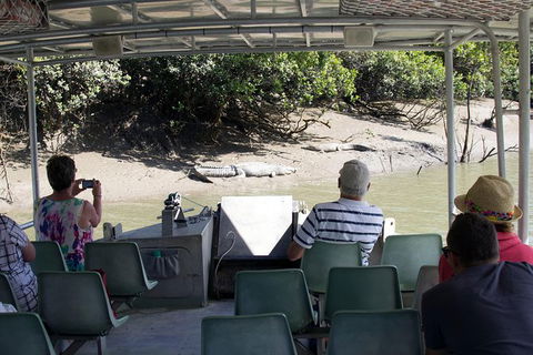 Whitsunday Crocodile Safari Including Lunch - Accommodation Adelaide 13