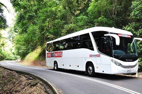 Palm Cove Departure Transfer - Palm Cove To Airport - Accommodation Adelaide 1