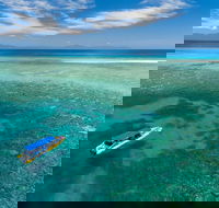 Ocean Safari Great Barrier Reef Experience in Cape Tribulation - Accommodation Adelaide