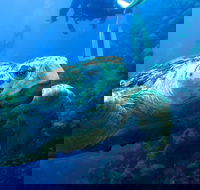 Scuba Dive the S.S. Yongala Wreck on the Great Barrier Reef. - Accommodation Adelaide