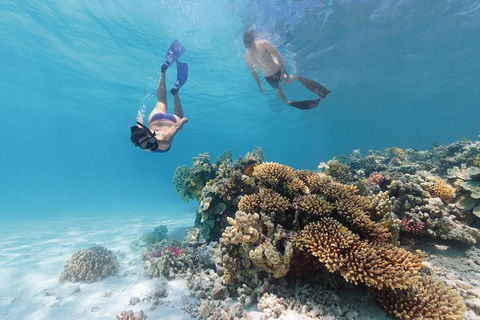 5-Day Fraser Island And Great Barrier Reef Tour - Accommodation Adelaide 1