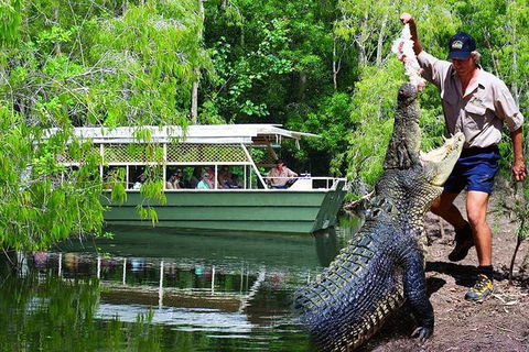 Crocs, Creatures And Culture Tour Ex Cairns - Accommodation Adelaide 1