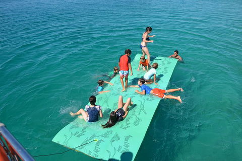 Fraser Island & Dolphin Sailing Adventure - Accommodation Adelaide 6