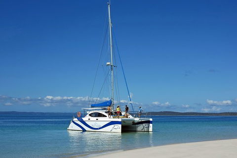Fraser Island & Dolphin Sailing Adventure - Accommodation Adelaide 7
