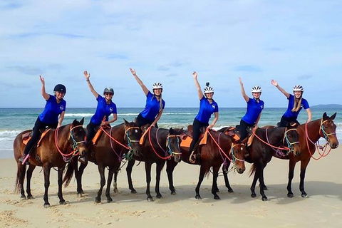 Rainbow Beach Horse Ride - Accommodation Adelaide 4