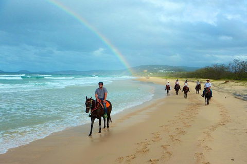 Rainbow Beach Horse Ride - Accommodation Adelaide 1