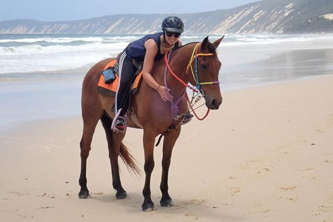 Rainbow Beach Horse Ride - Accommodation Adelaide 2