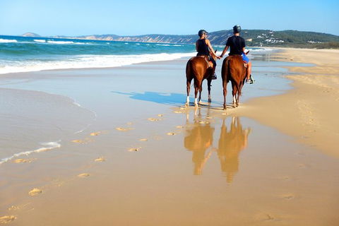 Rainbow Beach Horse Ride - Accommodation Adelaide 3