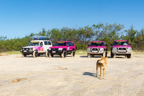 3 Day 4wd Tagalong Tour - Fraser Island - Accommodation Adelaide 0