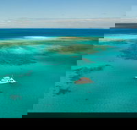 Great Barrier Reef Dive and Snorkel Cruise from Mission Beach - Accommodation Adelaide