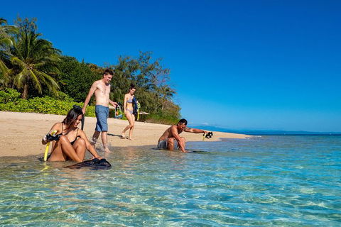 Half Day Low Isles Snorkelling Tour From Port Douglas - Accommodation Adelaide 0